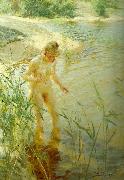 Anders Zorn, reflexer